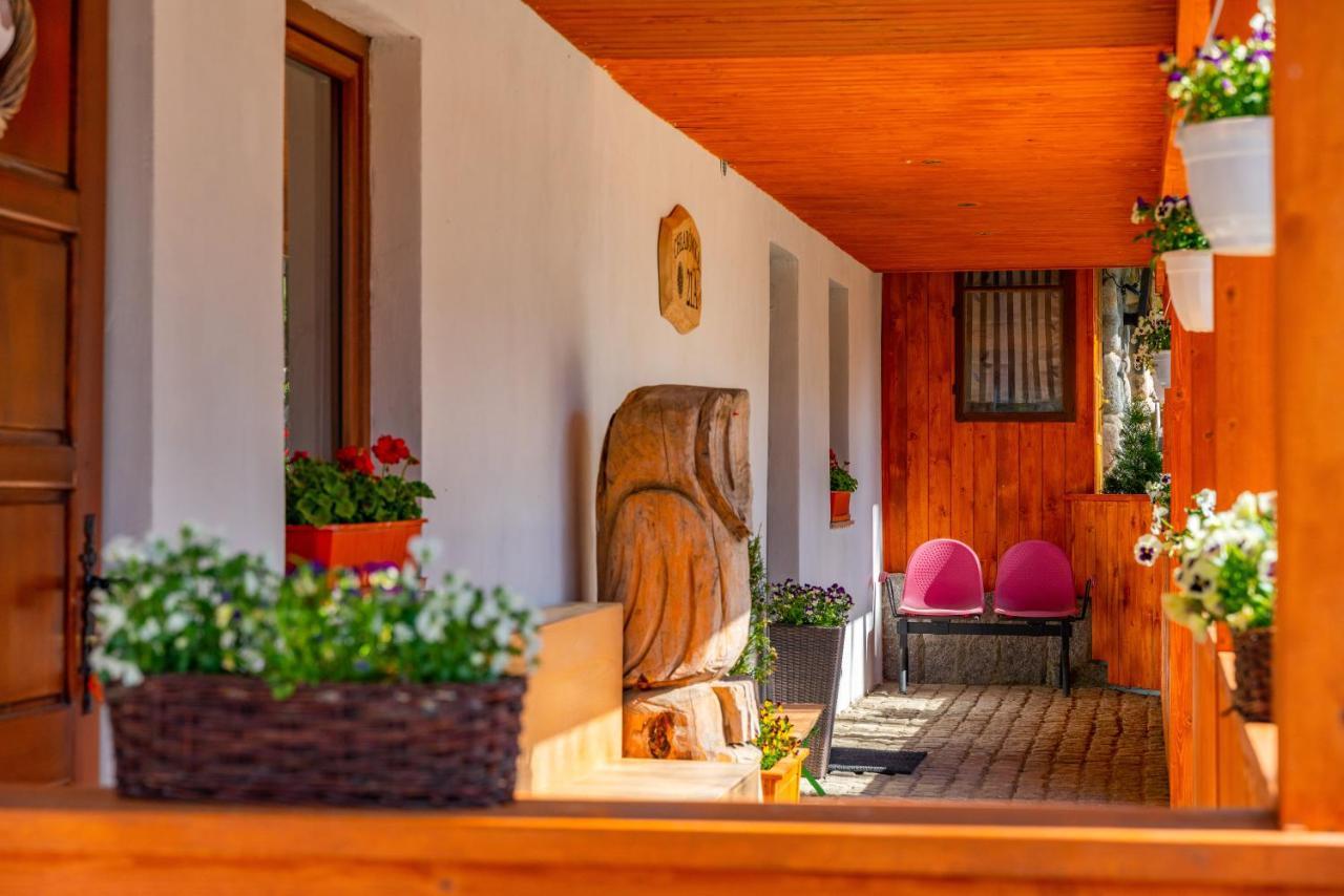 Apartament Lesny Закопане Экстерьер фото